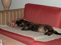 DSCF1541
