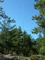 DSCF1546