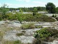 DSCF1566