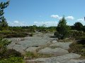 DSCF1570