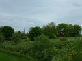 DSCF1582