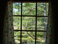 DSCF1586