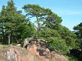 DSCF1597