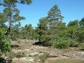 DSCF1666