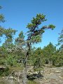 DSCF1667
