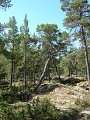DSCF1668