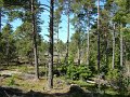 DSCF1670