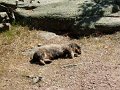 DSCF1674