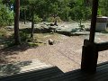 DSCF1684