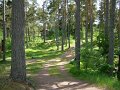 DSCF1698