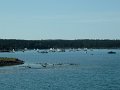 DSCF1701