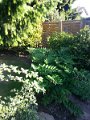 20170525_185631