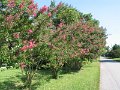 File_004
