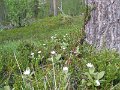 File_034