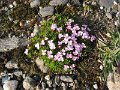 File_046