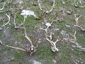 File_071