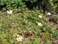 File_119