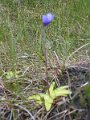 File_126
