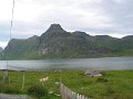 File_142