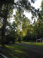 File_265