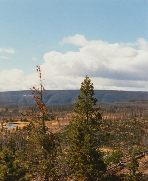 1997-10 0428