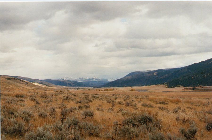 1997-10 0438