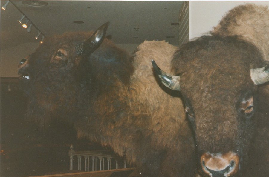 1997-10 0450