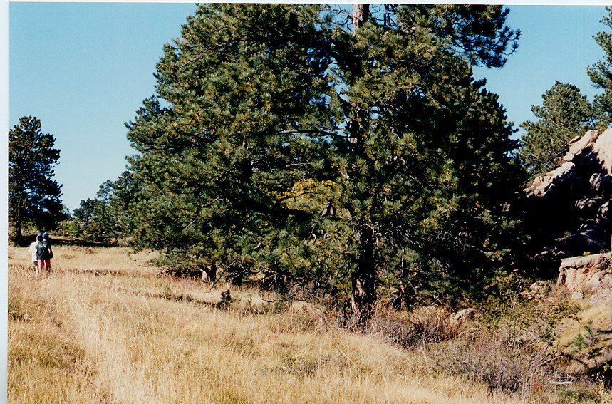 2000-03 0384
