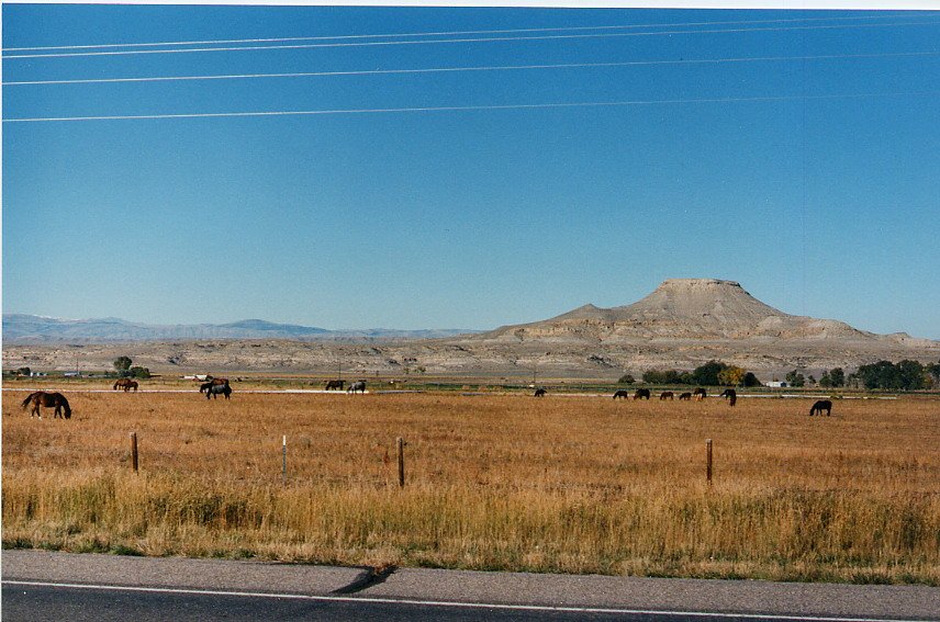 2000-03 0426