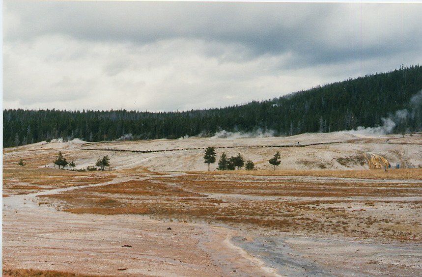 2000-03 0437