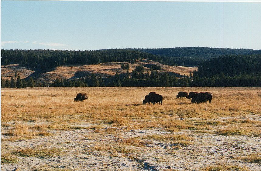 2000-03 0443