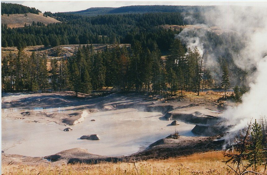 2000-03 0445