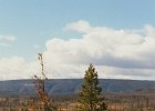 1997-10 0428  Yellowstone