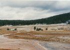 2000-03 0437  Waiting for "Old Faithful"