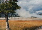 2000-03 0438  Geyser Basin in Yellowstone