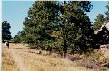 2000-03_0384