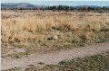 2000-03_0431