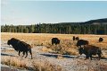 2000-03_0442