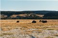 2000-03_0443